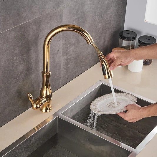 GOOSE – ברז נשלף למטבח עם שני מצבי זרם, מים חמים וקרים - home-store.co.il