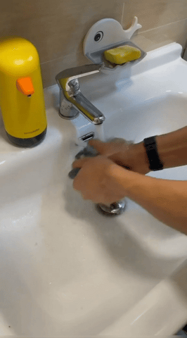 מגב הפלא SPRAY MOP